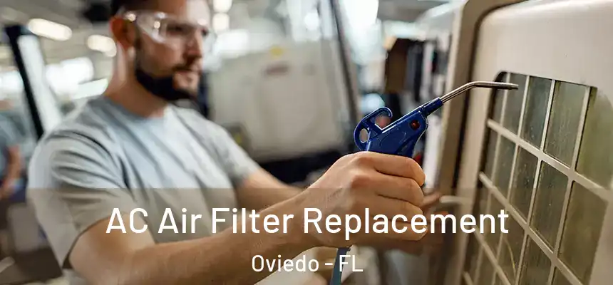  AC Air Filter Replacement Oviedo - FL