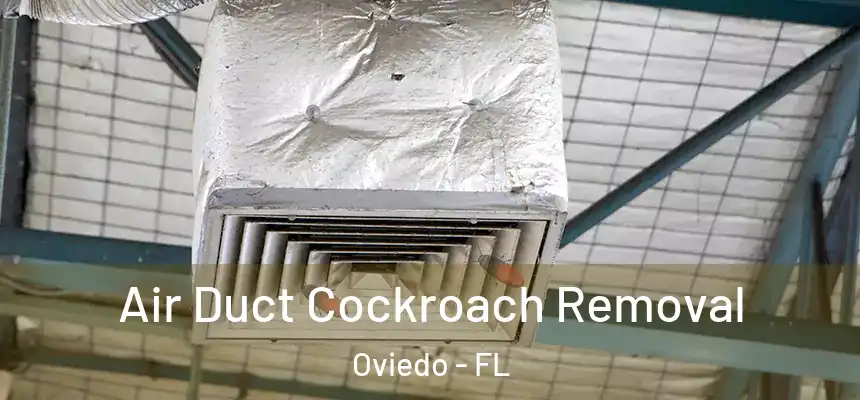  Air Duct Cockroach Removal Oviedo - FL