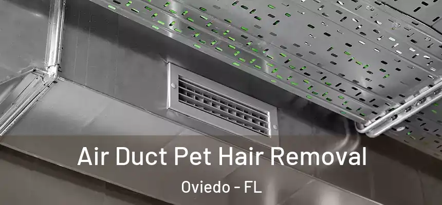  Air Duct Pet Hair Removal Oviedo - FL