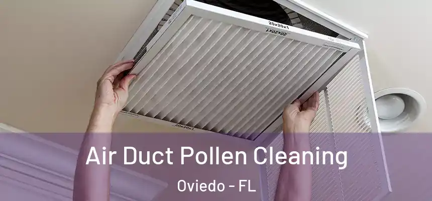  Air Duct Pollen Cleaning Oviedo - FL