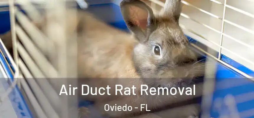  Air Duct Rat Removal Oviedo - FL