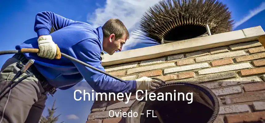  Chimney Cleaning Oviedo - FL