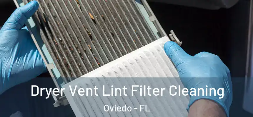  Dryer Vent Lint Filter Cleaning Oviedo - FL