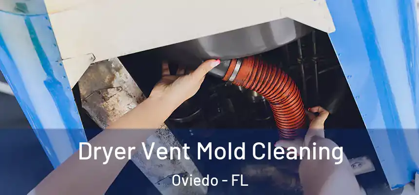 Dryer Vent Mold Cleaning Oviedo - FL
