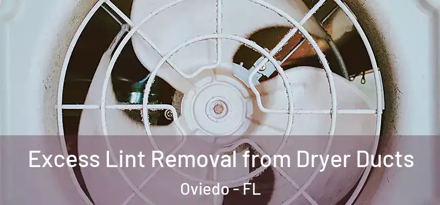  Excess Lint Removal from Dryer Ducts Oviedo - FL