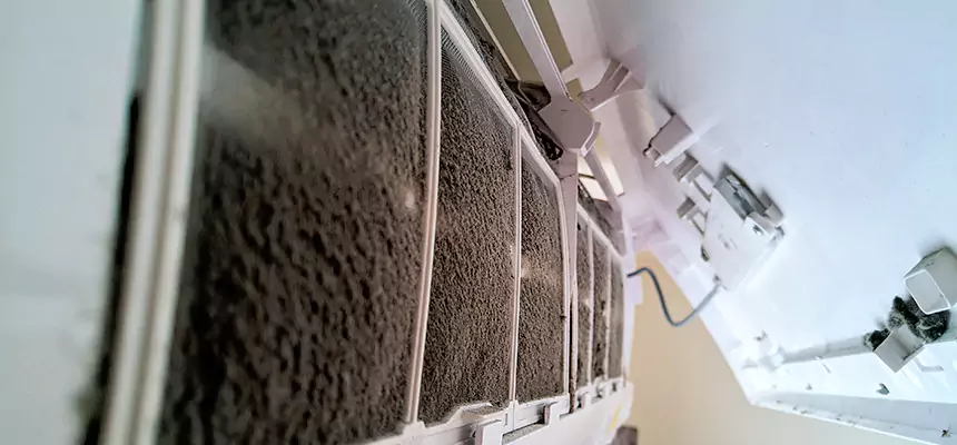 Preventive Air Duct Bacteria Removal in Oviedo