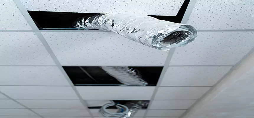 Affordable HVAC Sanitizing After Pest Removal in Oviedo