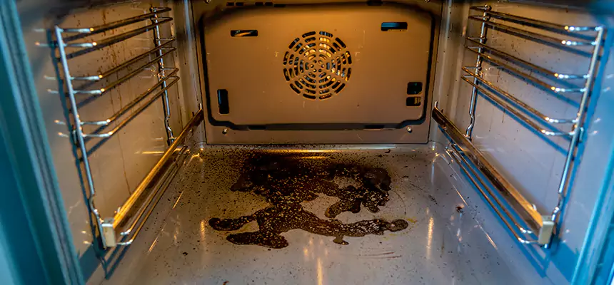 Our Dryer Vent Mold Cleaning Services in Bradenton, FL