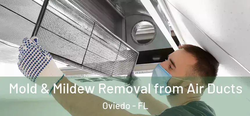 Mold & Mildew Removal from Air Ducts Oviedo - FL