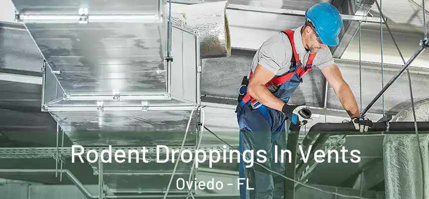 Rodent Droppings In Vents Oviedo - FL