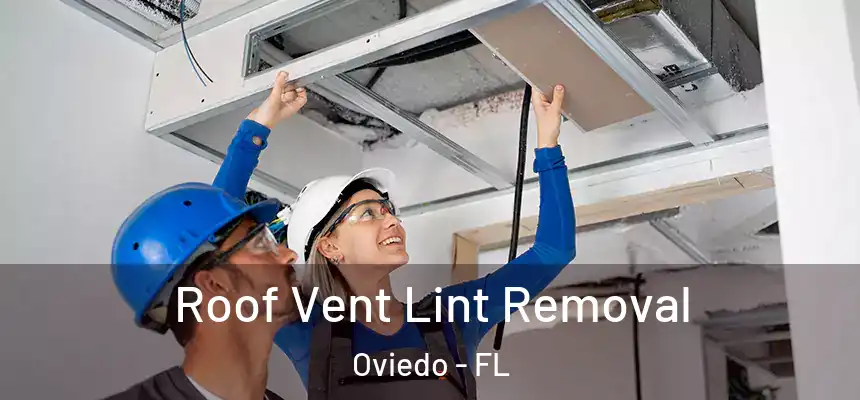 Roof Vent Lint Removal Oviedo - FL