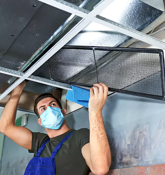 Professional Air Duct Pollen Cleaning in Oviedo, FL