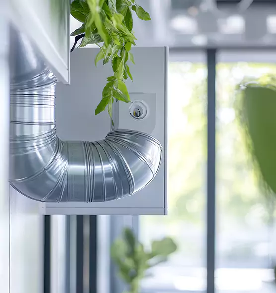 Professional Eco-Safe Dryer Vent Cleaning in Oviedo, FL