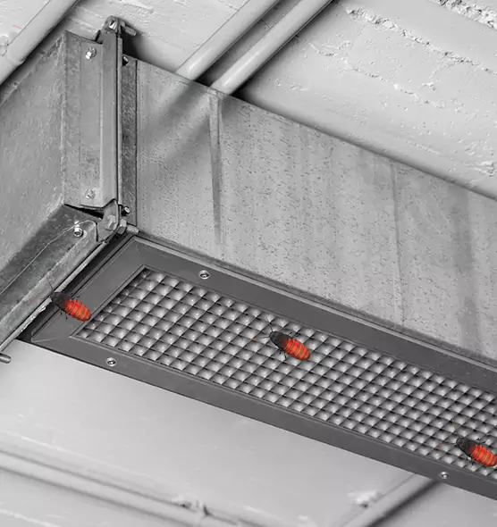 Affordable Insect Removal from Air Ducts in Oviedo, FL