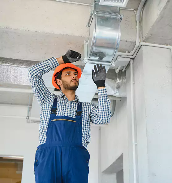 Affordable Lint Buildup Removal in Bradenton, FL