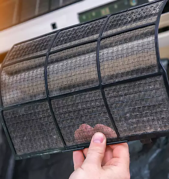About Pet Dander Duct Cleaning in Bradenton, FL