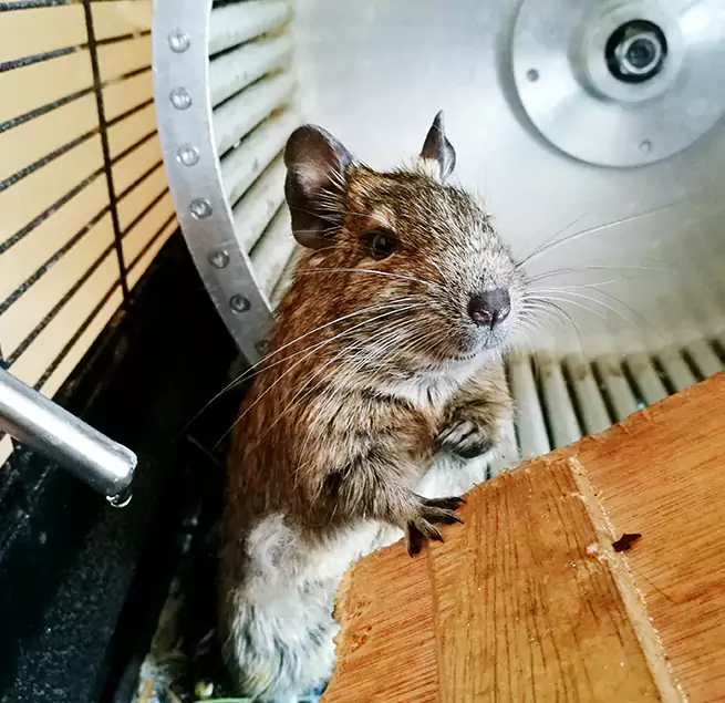 Why Homeowners & Businesses Trust Us Oviedo, FL?