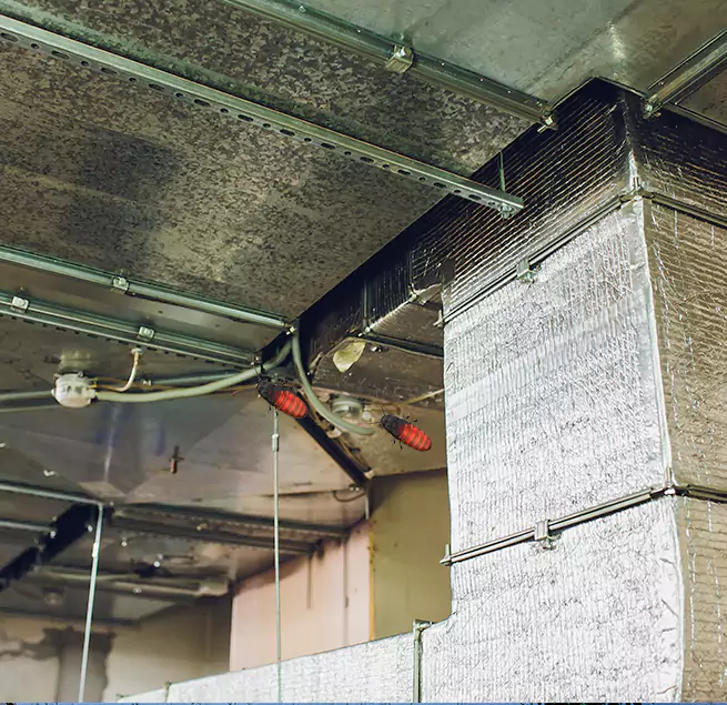 Why Homeowners & Businesses Trust Us Oviedo, FL?